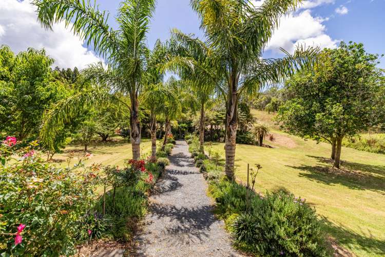 17 Poplar lane Kerikeri_19