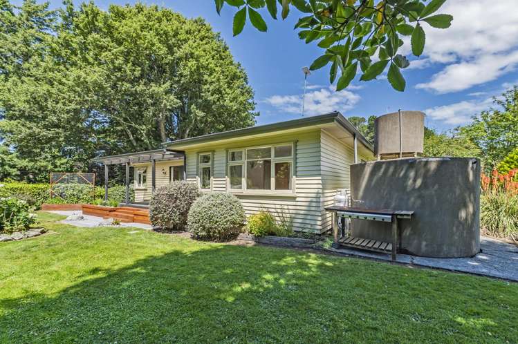 428 Kowai Road Springfield_10