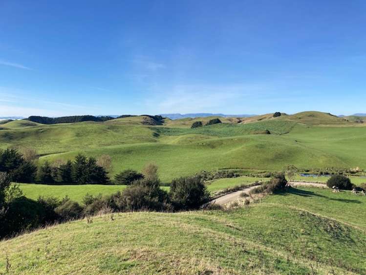 Lot 3 Tararua Road Pahiatua_7