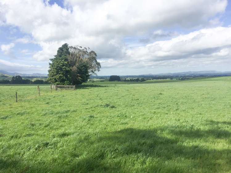 1550 Top Grass Road Rangitikei Surrounds_7