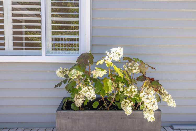 8 Karu Street Oneroa_18