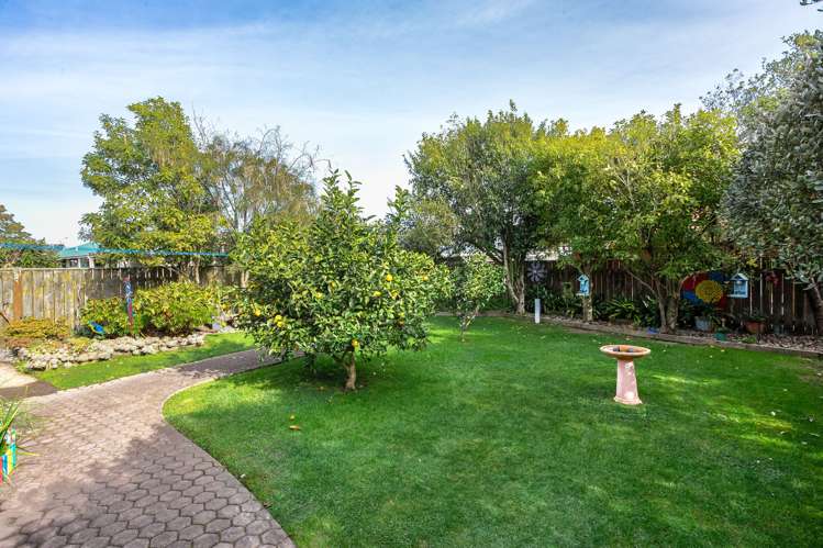 10 Wright Grove Levin_19