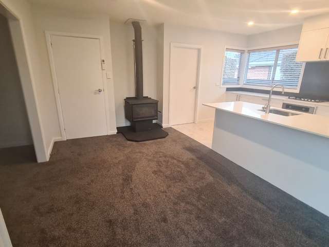 28 Newmark Street Bishopdale_4