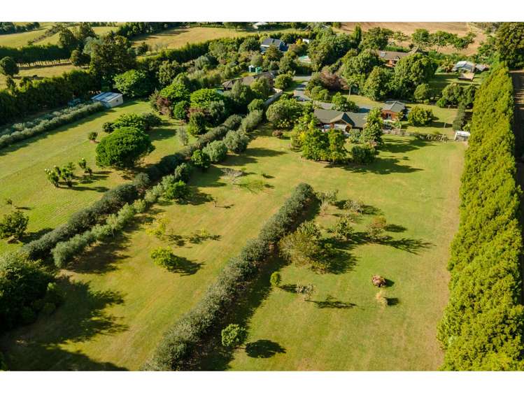 150b Koropewa Road Kerikeri Surrounds_31