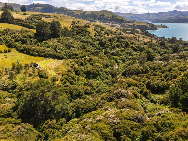 99 Jubilee Road Wainui_4