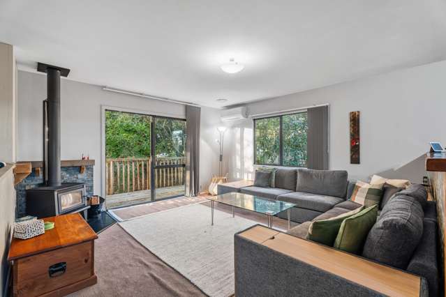 38 Jeffs Road Dairy Flat_3