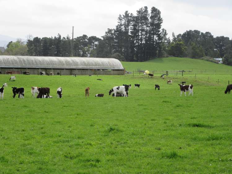 76412 State Highway 2 Rangitikei Surrounds_14