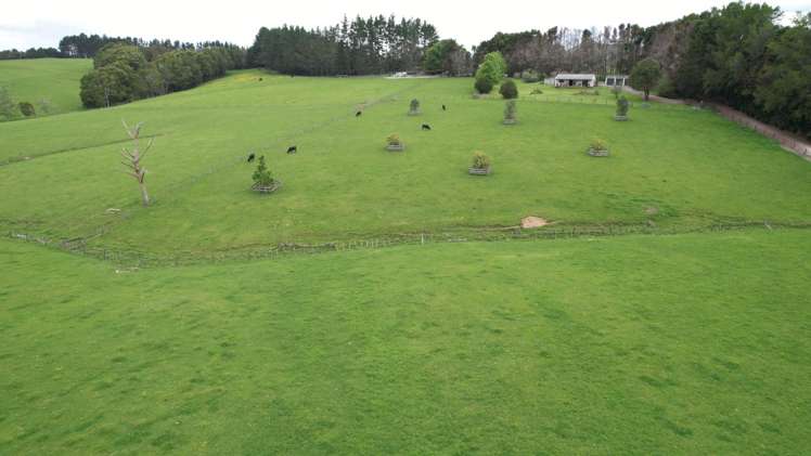 280 Old Bay Road Pakaraka_2