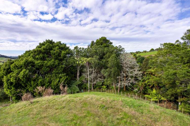 62 Cornes Road Raglan_20