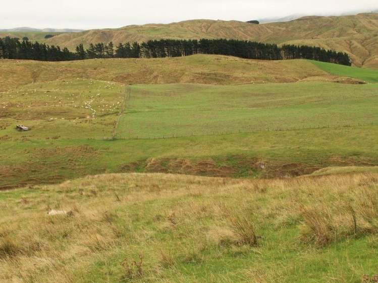 912 Range Road Pongaroa_2