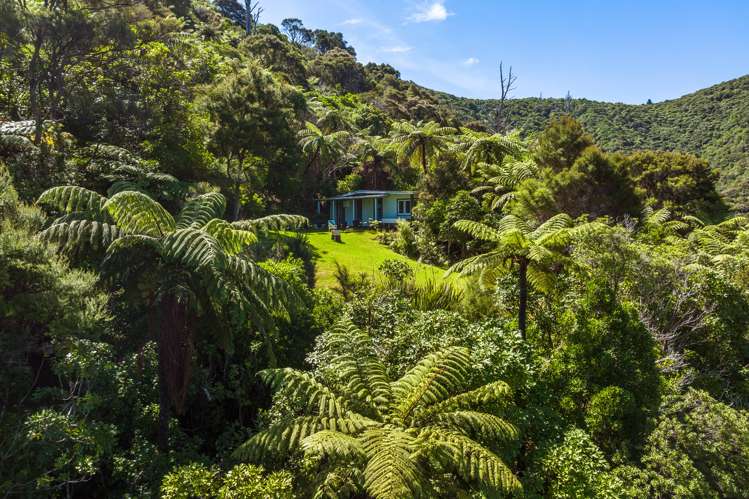 Lot 4 West Bay, Lochmara Marlborough Sounds_33