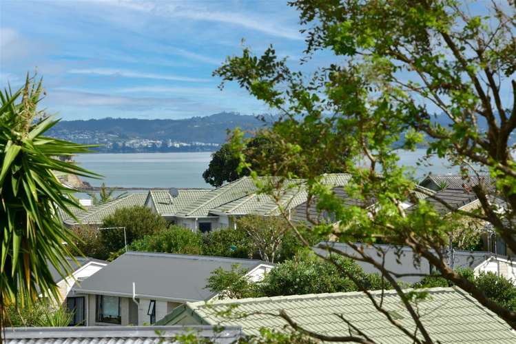 64a Tiri Road Manly_12