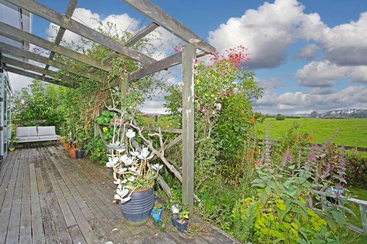 183 Mclarin Road Glenbrook_5