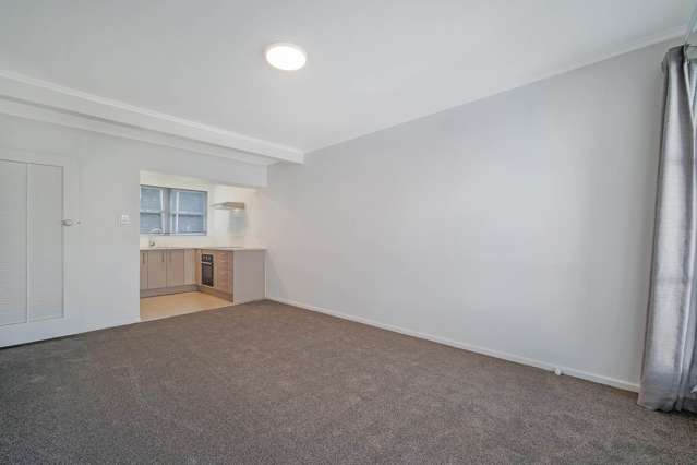 22i Aratonga Avenue Greenlane_1