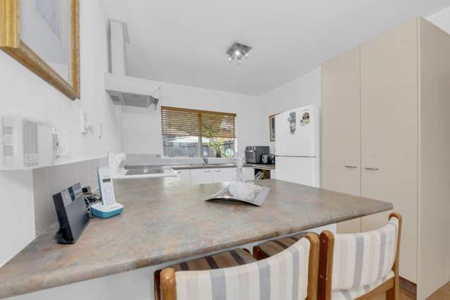 220 Te Irirangi Drive Flat Bush_4