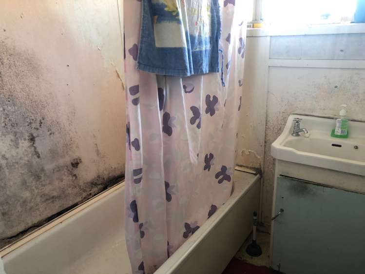 11 Carbine Road Mount Wellington_9