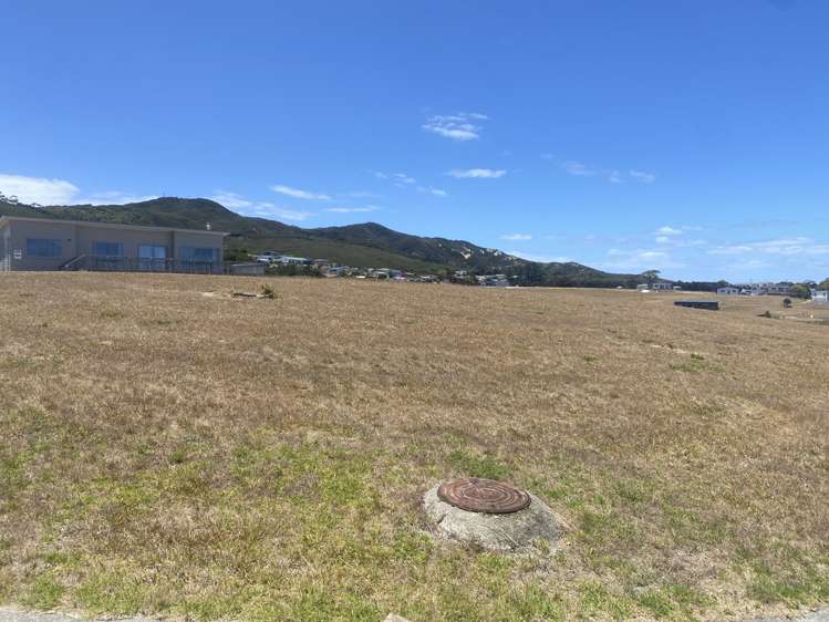 40 Carrington Drive Karikari Peninsula_3