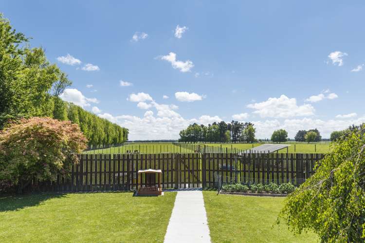 517 Newbury Line Bunnythorpe_25