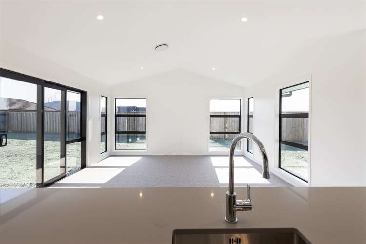 31 Nikau Drive Redwoodtown_5