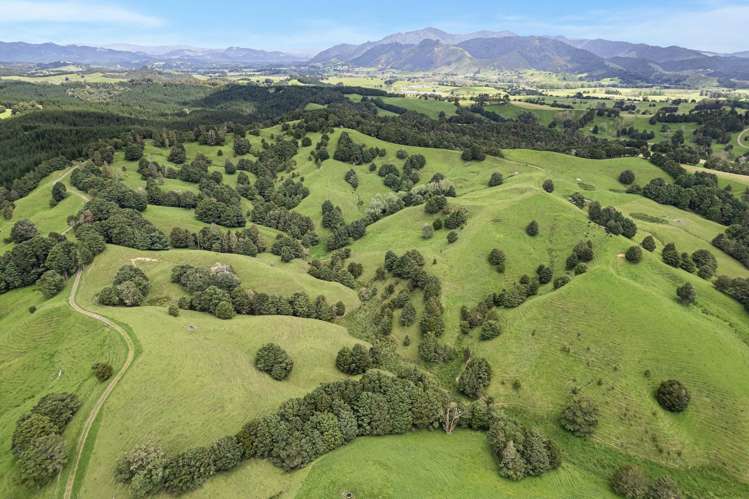 Coxhead Road Parakao_7