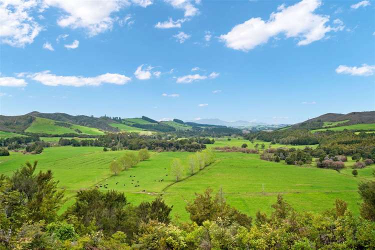 144 Moore Road Pipiwai_32