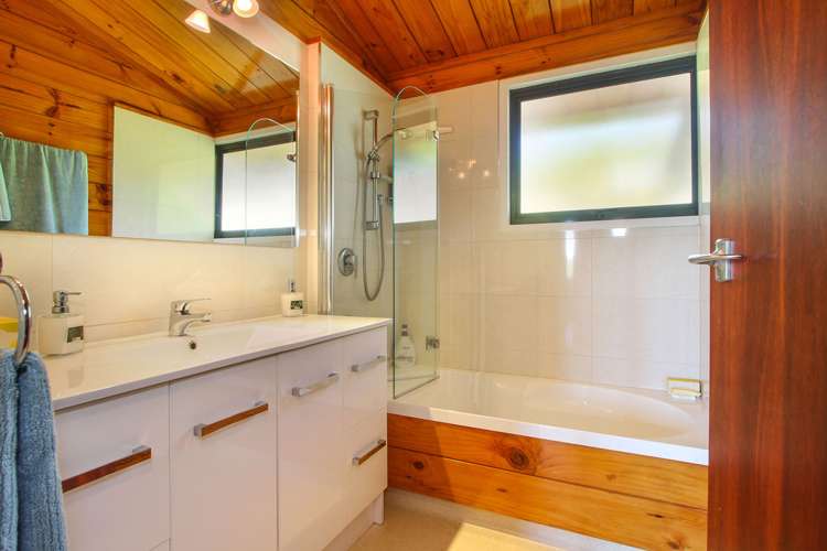 399 Horseshoe Bush Road Dairy Flat_9