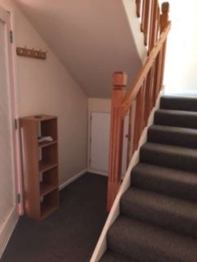 1/7 Dransfield Street Vogeltown_2