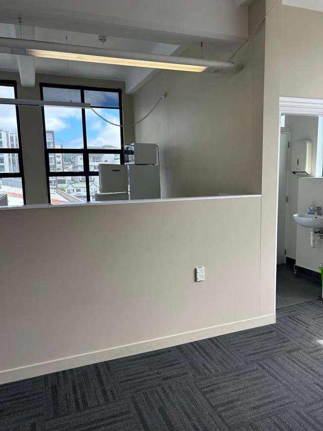 Level 4/15 Courtenay Place Te Aro_4