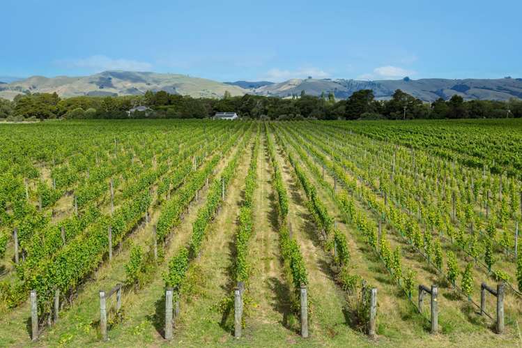 224 Dakins Road East Taratahi_24