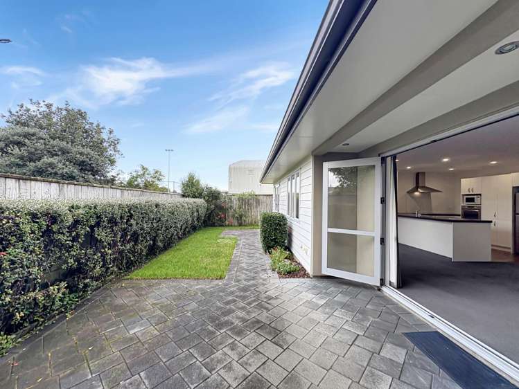 66B Totara Street 1230_22