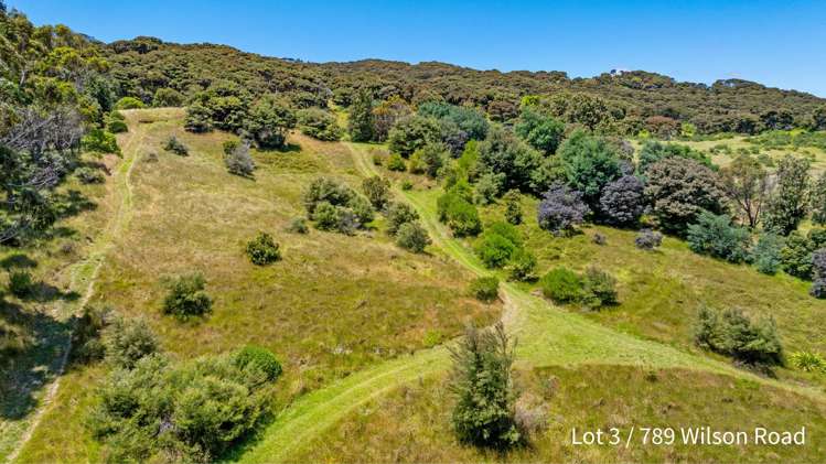 789 Wilson Road, South Head Helensville_47