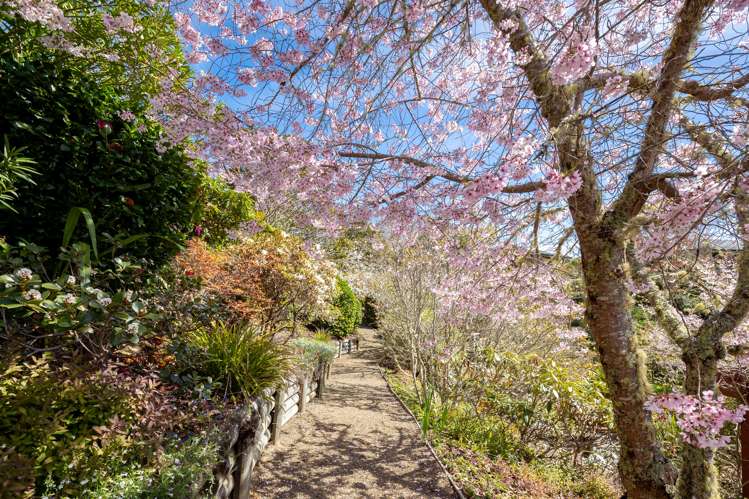 60 Brabant Drive Ruby Bay_30