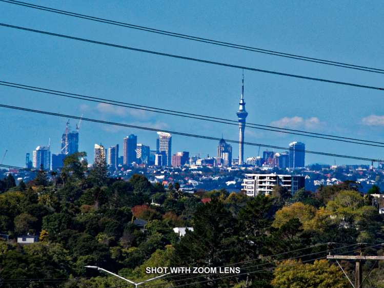 9 Exotic Place Massey_15