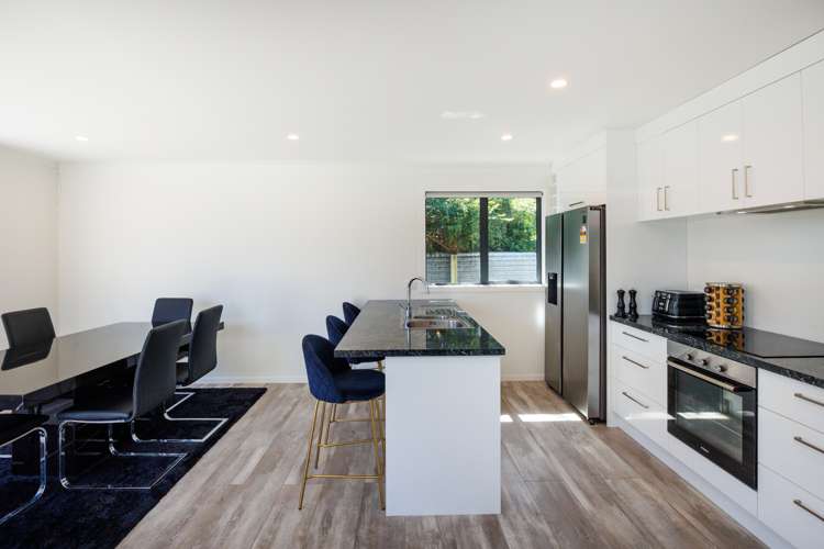 27b Tyne Street Roslyn_6