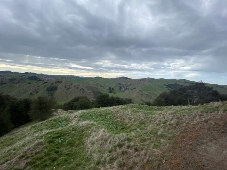 1247 Wharekopae Road Ngatapa_16