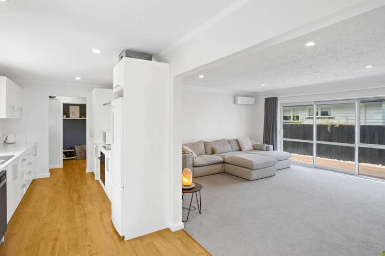 45 Emlyn Place Avondale_4