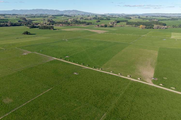 325 Reid Line East Bunnythorpe_10