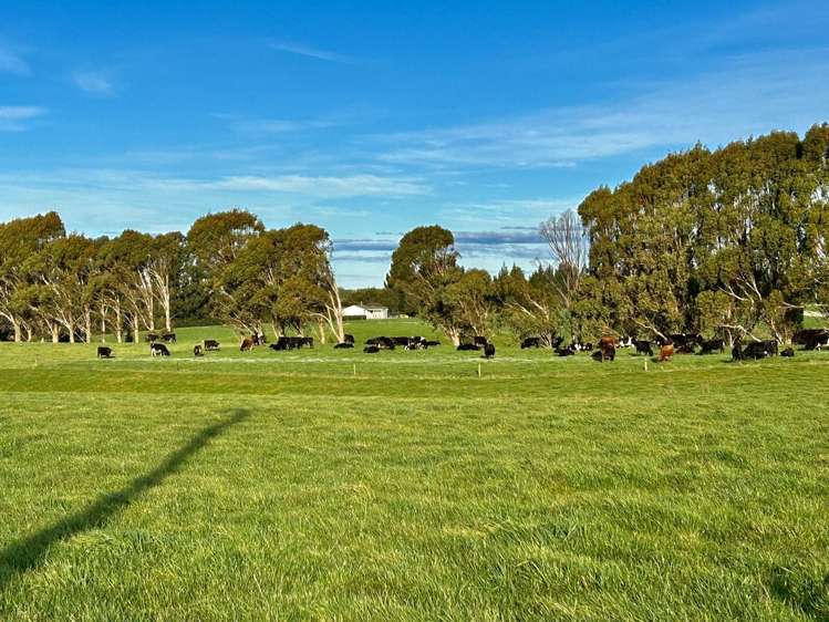 1156-1215 Hillend Road Hillend_11