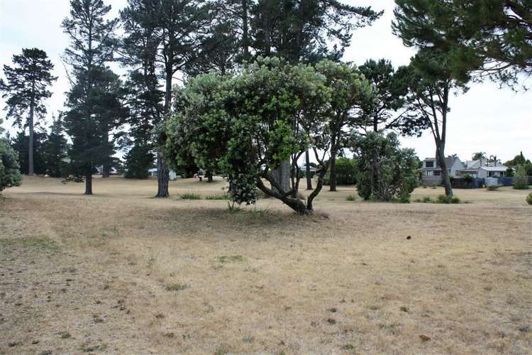 12 Parsons Dell Pauanui_8