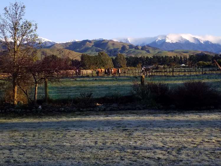 76 Jordan Road Carterton_20