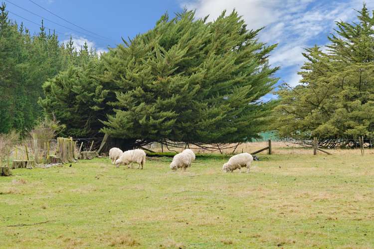 265 Burnham Road Burnham_19