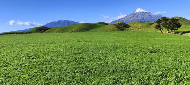 Meet your grazing needs