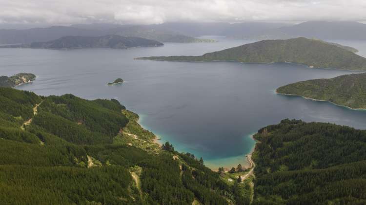 Arapaoa Island - Waikakaramea Bay Marlborough Sounds_9