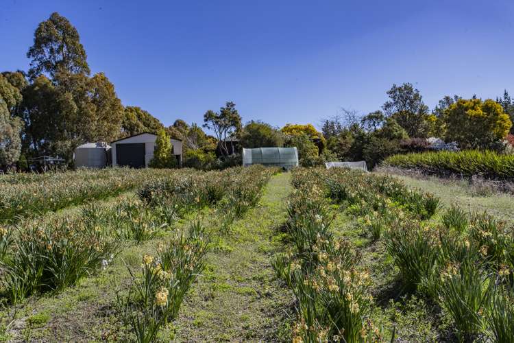 40 Maskells Road Balcairn_20