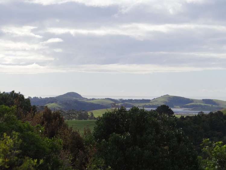 206 Kauri Mountain Road Taiharuru_9