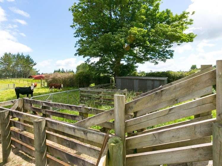 218 Dudley Road Inglewood_12