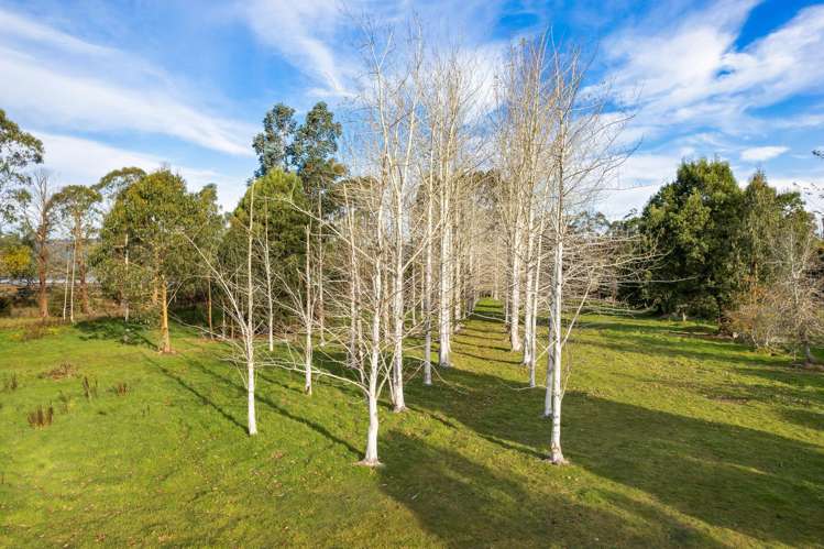 1830 Waikouaiti-Waitati Road Waitati_13