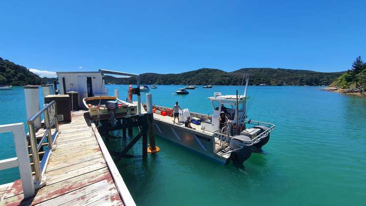 Lot 1/DP51532 Schoolhouse Bay Road Kawau Island_28