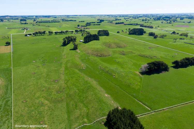 335a Couper Road Glen Oroua_10