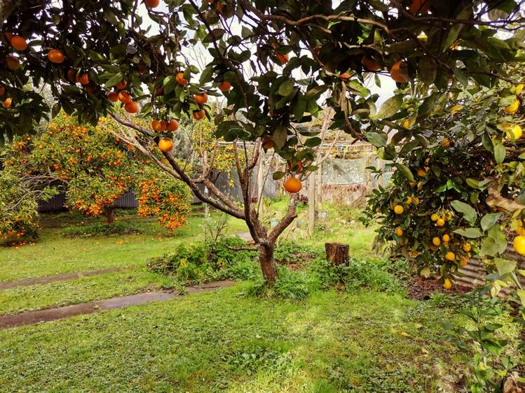 14 Chamberlain Avenue Wairoa_13